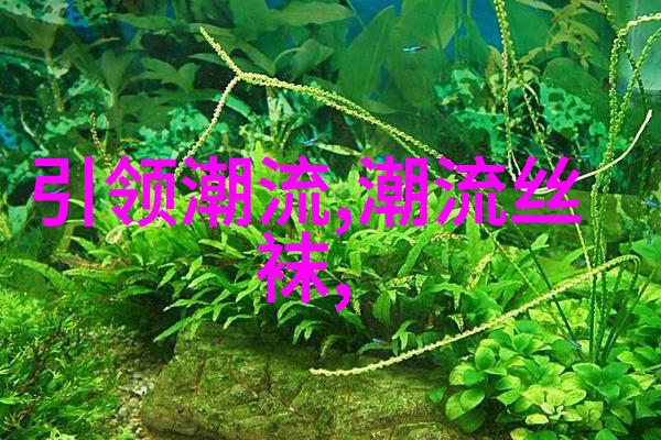 时尚界新星最新服装设计作品绽放